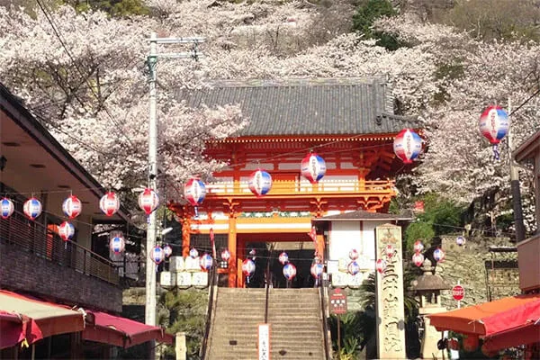 日本和歌山热门景点 - 纪三井寺（Kimiidera Temple）