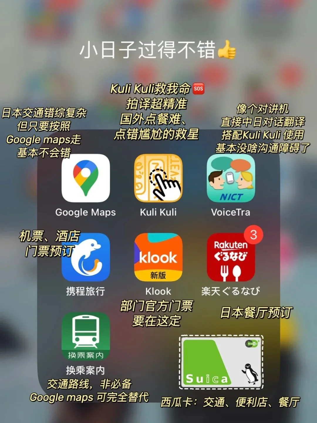 🌸 ​​日本旅行极简清单｜血泪总结！刷爆的10个避雷针​​：文章配图 5