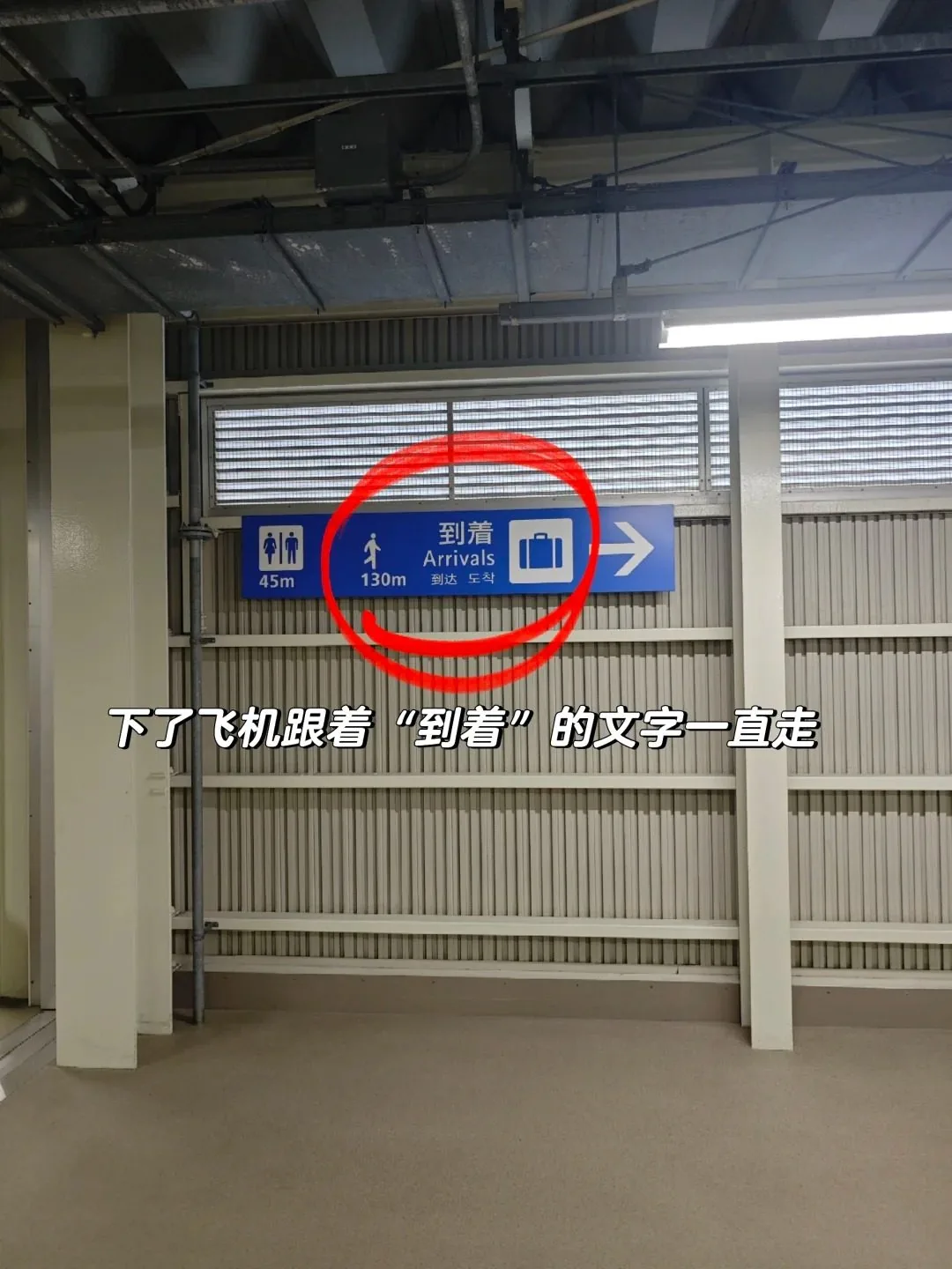 🔥关西T2红眼航班落地必看｜5分钟丝滑入境保姆级教程‼️：文章配图 2