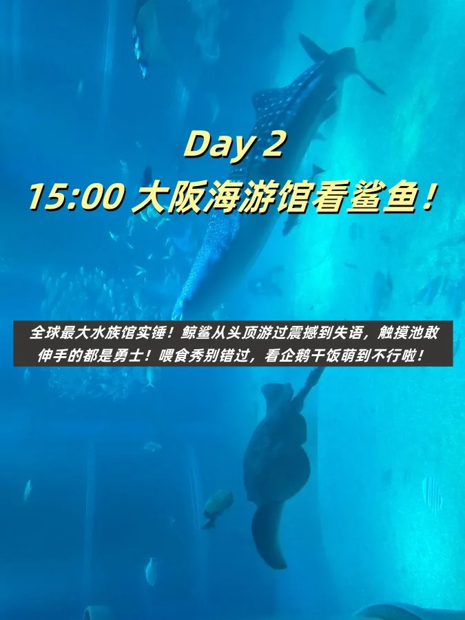 救命！大阪真的太好拍了！暴走2w步总结的保姆级攻略（附私藏机位）📸​​：文章配图 9