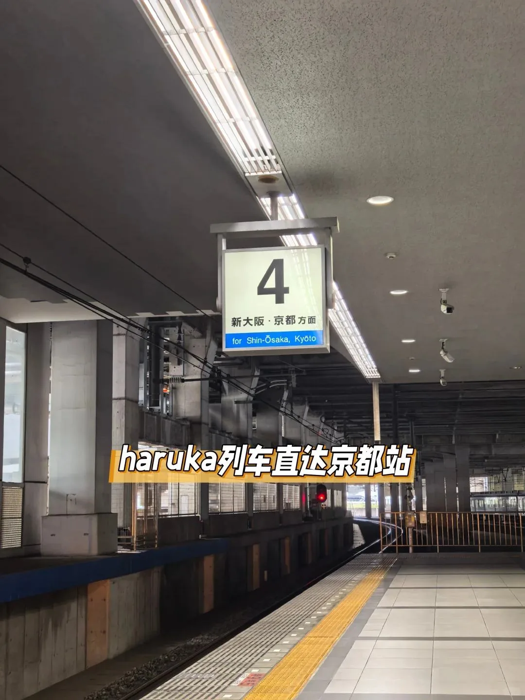 关西机场T1→京都懒人攻略!入境+交通丝滑到想哭✨:文章配图 9