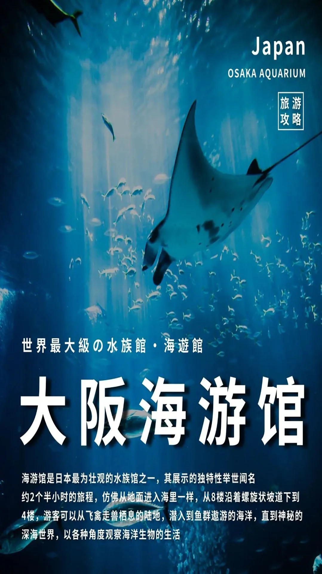 大阪海游馆超实用干货｜门票、路线、避雷一篇搞定！：文章配图 1