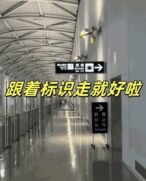 日本🇯🇵大阪关西机场T1入境过关攻略，超简单！：文章配图 4