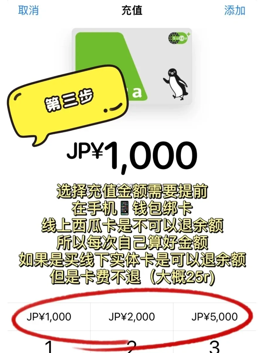 姐妹们！日本自由行看这篇就够了！手把手教你5分钟丝滑入境+避坑指南🌸：文章配图 4