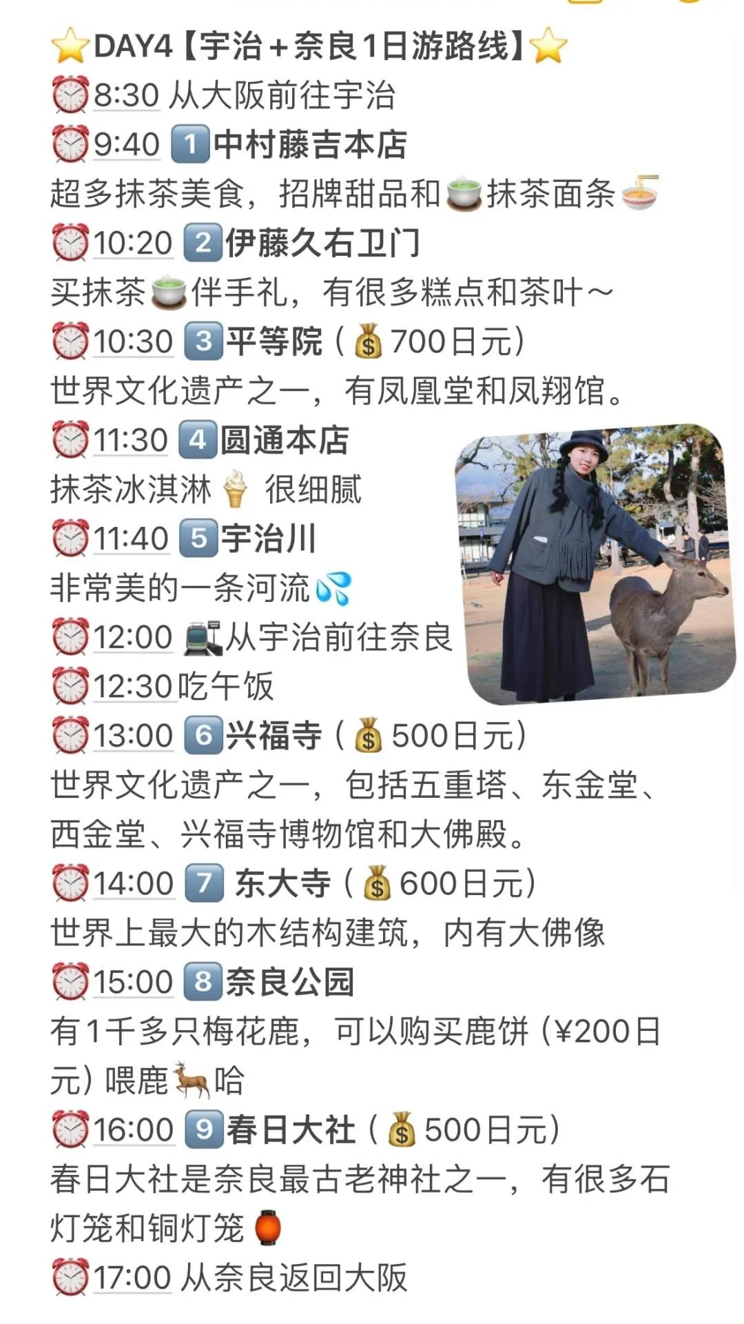 🔥关西5天暴走攻略｜日均2.6w步的快乐谁懂啊‼️：文章配图 7