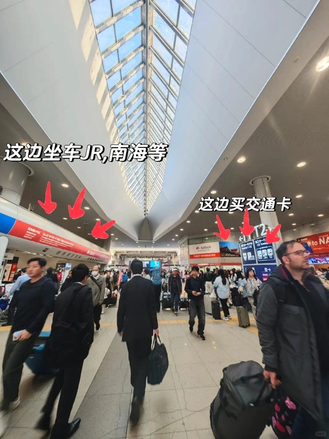 🔥关西T2红眼航班落地必看｜5分钟丝滑入境保姆级教程‼️：文章配图 18