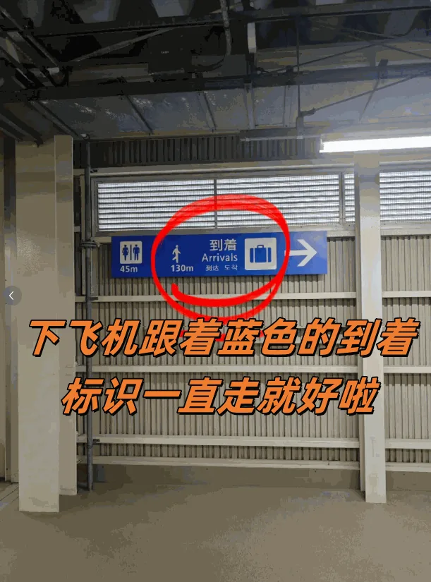 2025最新！关西机场T2落地不迷路！15分钟丝滑入境保姆攻略​​：文章配图 2