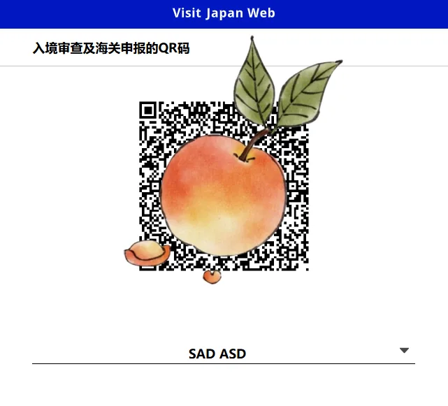 ✨2025日本入境|手把手教你填VJW通关QR码!亲测5分钟丝滑入关✨保姆级教程+避坑重点速码!:文章配图 19