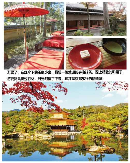 被雪景种草金阁寺，结果夏天去了！体验到底怎么样？☀️➡️❄️：文章配图 5