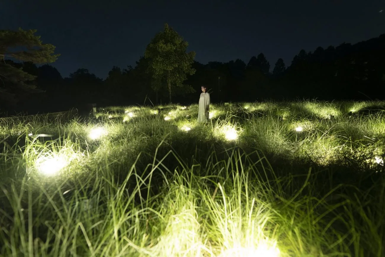 大阪夏夜限定！长居植物园的梦幻萤火虫之夜✨：文章配图 2