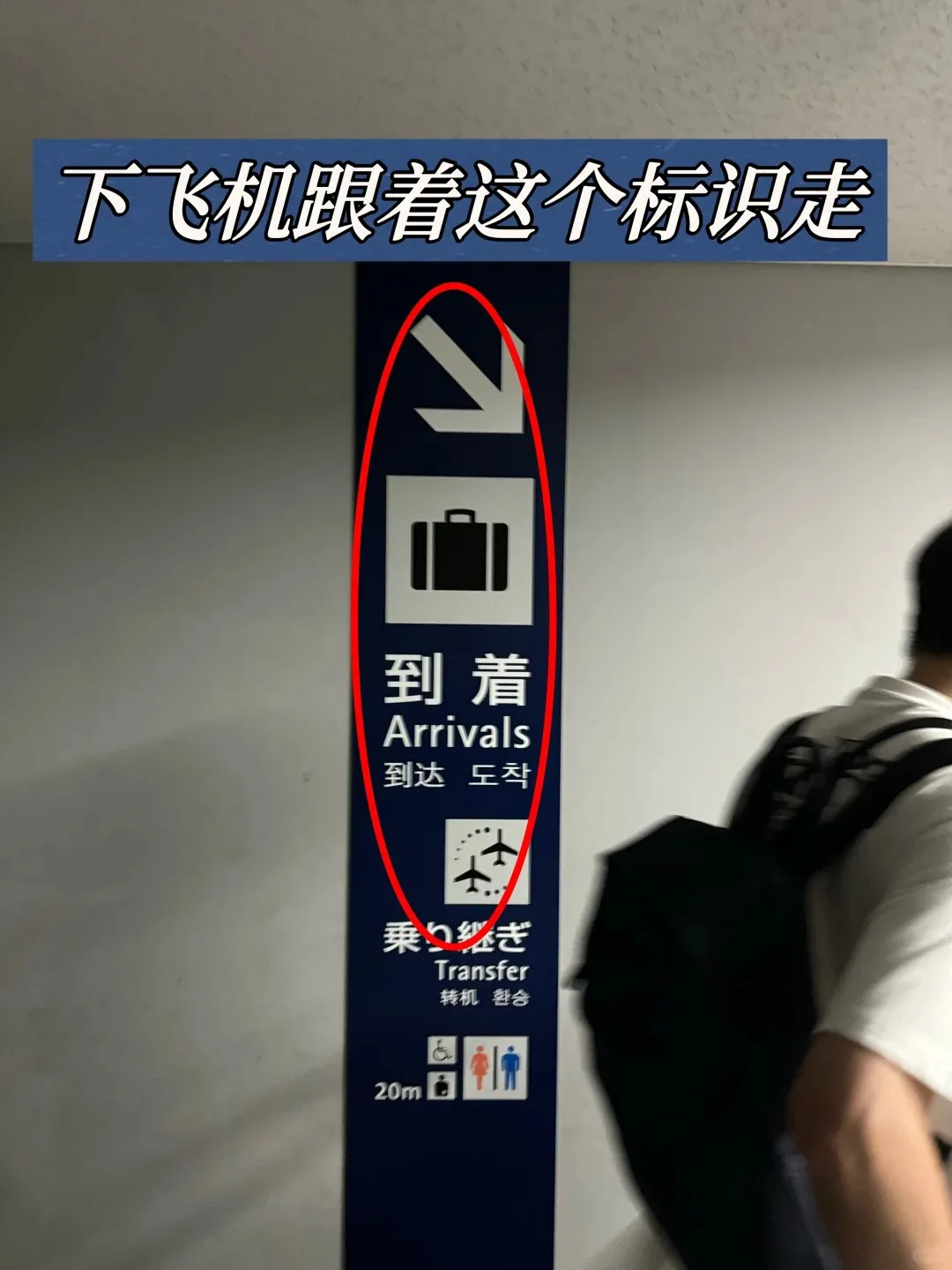 🔥大阪关西机场极速通关攻略|手把手带你飙车式入境!落地45分钟冲进市区🍜:文章配图 2