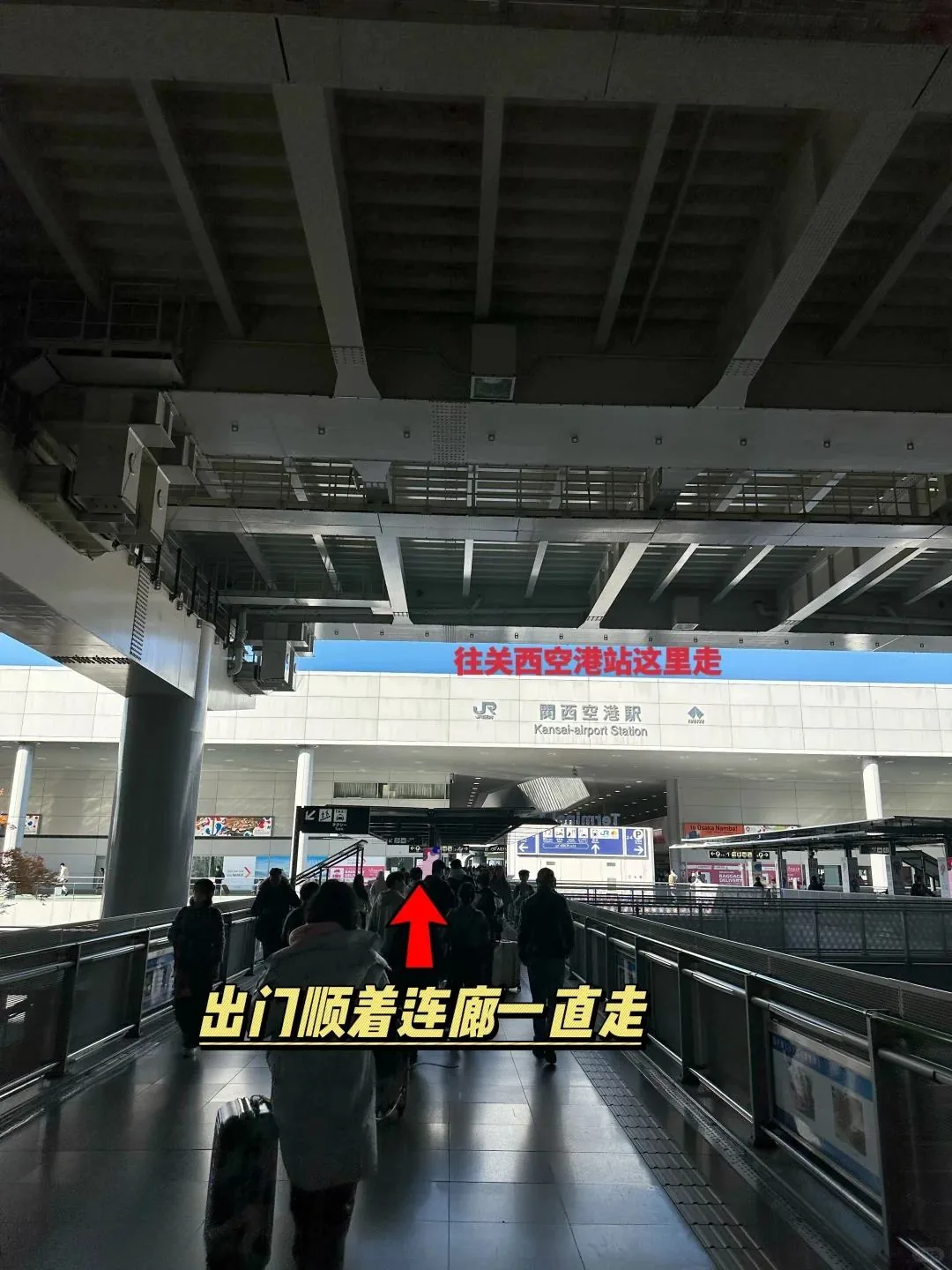 🌟关西机场进市区保姆级图文攻略!手把手教你轻松搞定日本电车!:文章配图 5