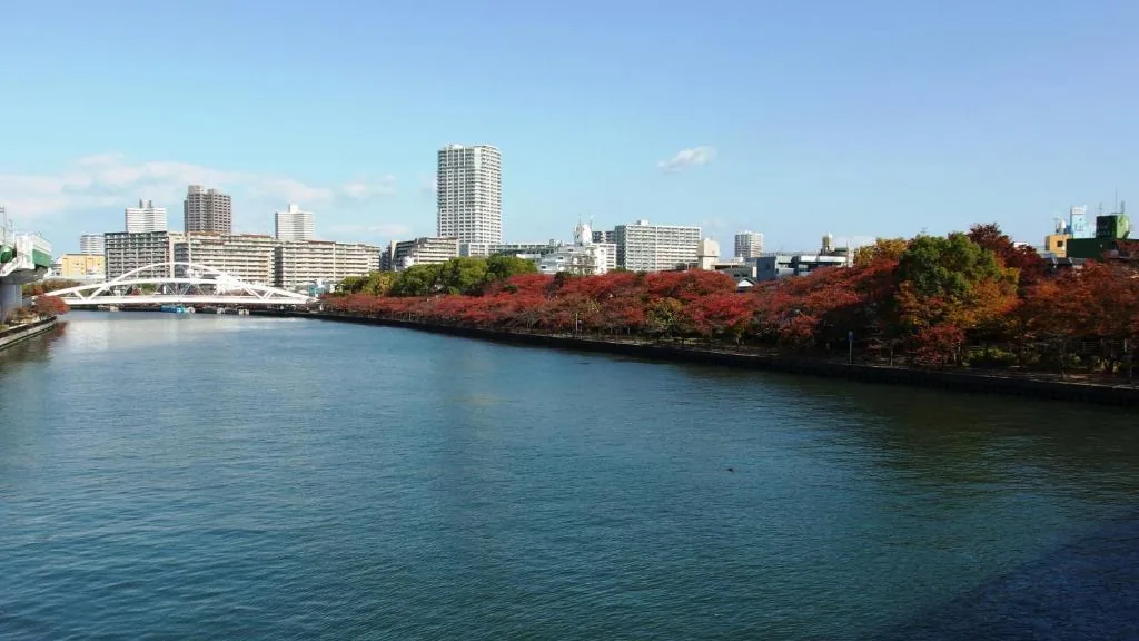 宽居大阪民宿 · 河畔秋景