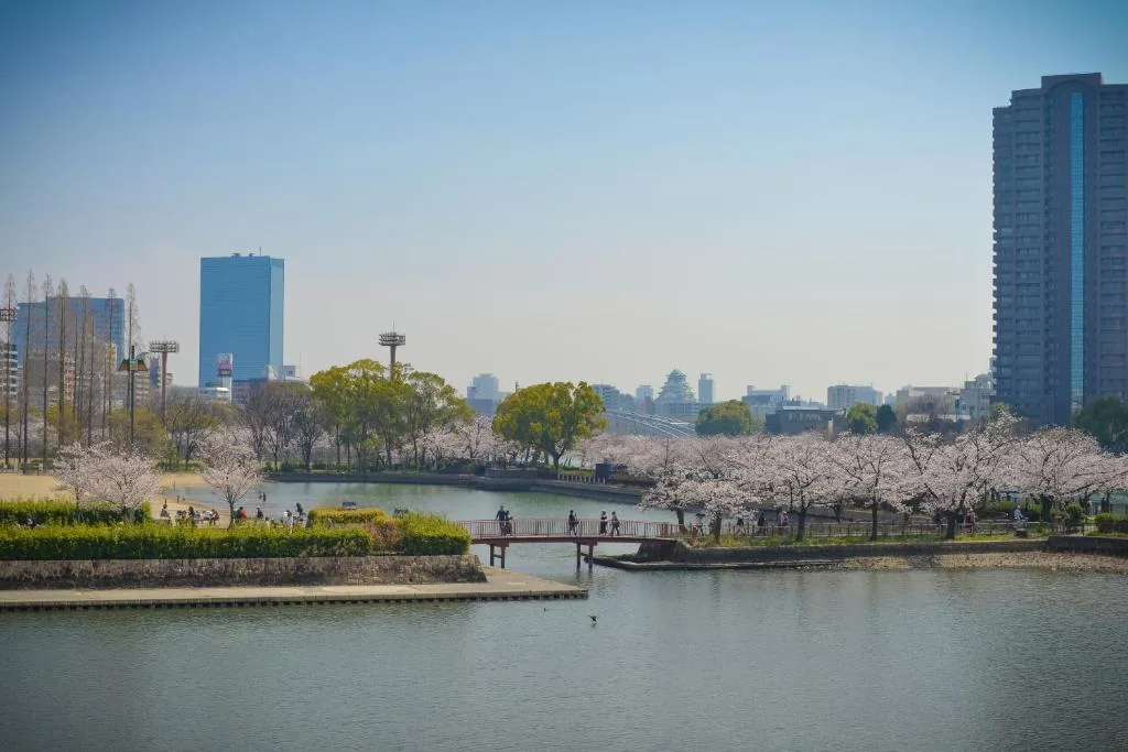 宽居大阪民宿 · 河畔春景