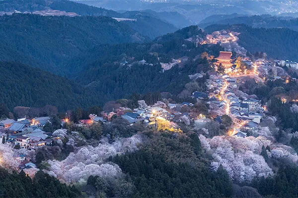 日本奈良热门景点 - 吉野山（Mount Yoshino）