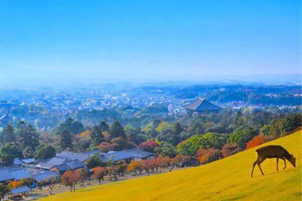 日本奈良热门景点 - 若草山（Wakakusa-yama）
