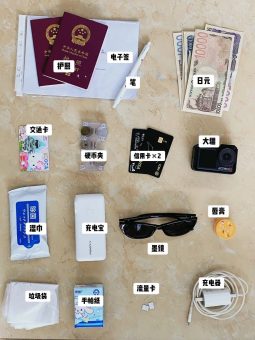 📌2025日本旅行行李红黑榜！这些不带真的会哭｜附避雷救命清单✨：文章配图 1