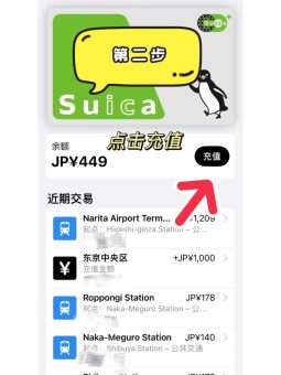 姐妹们！日本自由行看这篇就够了！手把手教你5分钟丝滑入境+避坑指南🌸：文章配图 3