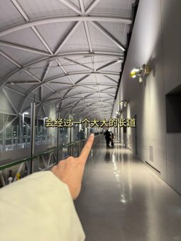 🇯🇵从下飞机开始教你丝滑入境日本｜2025保姆级通关全流程：文章配图 4