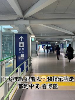 🇯🇵关西机场25分钟极速通关！手残党闭眼抄作业：文章配图 2