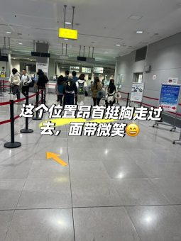 🇯🇵2025大阪关西机场5分钟通关实录｜樱花季丝滑入境指南：文章配图 4