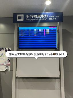 🇯🇵2025大阪关西机场5分钟通关实录｜樱花季丝滑入境指南：文章配图 8