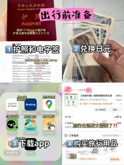 🌸 ​​女生独闯日本保姆级攻略｜社恐也能玩疯的10件救命神器​​：文章配图 1