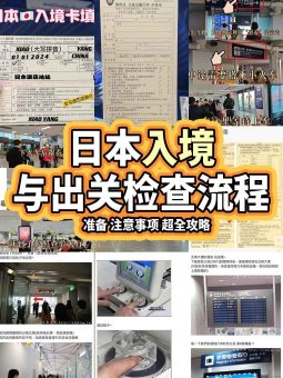🌸 ​​大阪关西机场出入境全攻略｜手残党也能5分钟通关！​​：文章配图 1