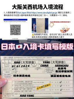 🌸 ​​大阪关西机场出入境全攻略｜手残党也能5分钟通关！​​：文章配图 2