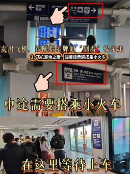 🌸 ​​大阪关西机场出入境全攻略｜手残党也能5分钟通关！​​：文章配图 3