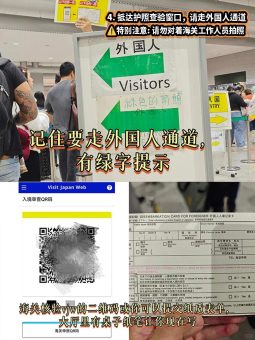🌸 ​​大阪关西机场出入境全攻略｜手残党也能5分钟通关！​​：文章配图 5