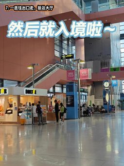 🌸 ​​大阪关西机场出入境全攻略｜手残党也能5分钟通关！​​：文章配图 8
