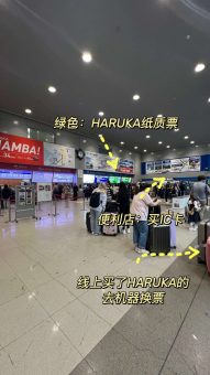 🌸 ​​大阪丝滑入境&HARUKA极速搭乘攻略｜手残党20分钟出关指南​​：文章配图 8
