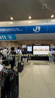 🌸 ​​大阪关西机场丝滑入境指南｜20分钟极速通关全攻略​​：文章配图 9
