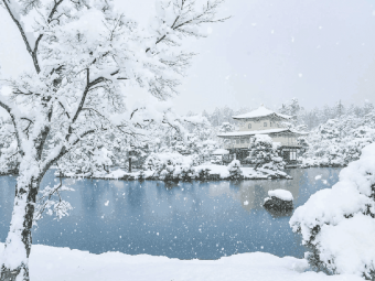 被雪景种草金阁寺，结果夏天去了！体验到底怎么样？☀️➡️❄️：文章配图 1