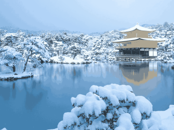 被雪景种草金阁寺，结果夏天去了！体验到底怎么样？☀️➡️❄️：文章配图 2