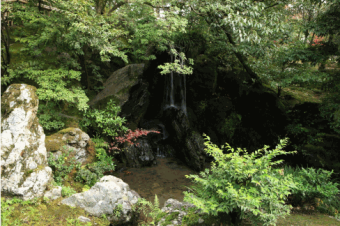 被雪景种草金阁寺，结果夏天去了！体验到底怎么样？☀️➡️❄️：文章配图 4