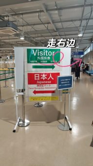 🔥关西T2红眼航班落地必看｜5分钟丝滑入境保姆级教程‼️：文章配图 5