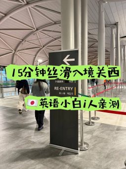 🌟2025日本最新入境攻略｜懒人必藏！社恐福音15分钟丝滑通关✨：文章配图 1