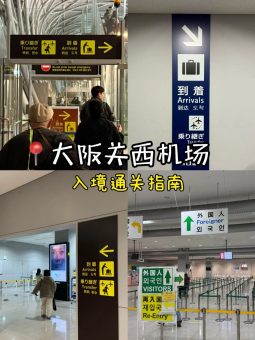 🇯🇵大阪关西机场入境攻略｜手残党也能5分钟通关！附保姆级动线图解✨：文章配图 1
