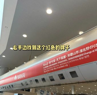🌟关西机场→心斋桥最新攻略‼️15分钟通关+40分钟闪现购物天堂✨：文章配图 5