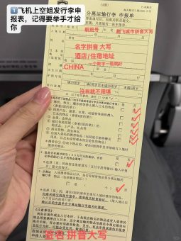 ✨【关西机场通关秘籍】手残党也能秒懂的入境攻略！省下半小时排队时间它不香吗？🇯🇵：文章配图 1