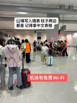 ✨【关西机场通关秘籍】手残党也能秒懂的入境攻略！省下半小时排队时间它不香吗？🇯🇵：文章配图 5