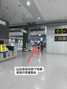 ✨【关西机场通关秘籍】手残党也能秒懂的入境攻略！省下半小时排队时间它不香吗？🇯🇵：文章配图 9