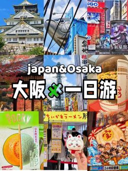 🔥大阪一日游攻略｜本地人看了都夸的精华路线！后悔没早刷到😭：文章配图 1
