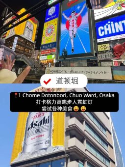 🔥大阪一日游攻略｜本地人看了都夸的精华路线！后悔没早刷到😭：文章配图 6