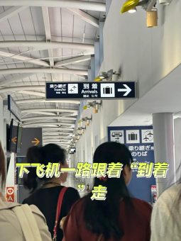 第一次去日本｜保姆级入境攻略看这里❗手残党也能秒懂🇯🇵：文章配图 6