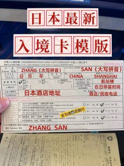 📣大阪关西机场最新入境攻略！亲测10分钟丝滑通关！懒人包直接抄作业！：文章配图 1