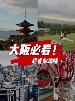 🔥暴走4天狂刷20+景点！大阪深度游路线直接抄作业（附避坑指南+私藏机位📸）：文章配图 1