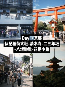 🔥暴走4天狂刷20+景点！大阪深度游路线直接抄作业（附避坑指南+私藏机位📸）：文章配图 6